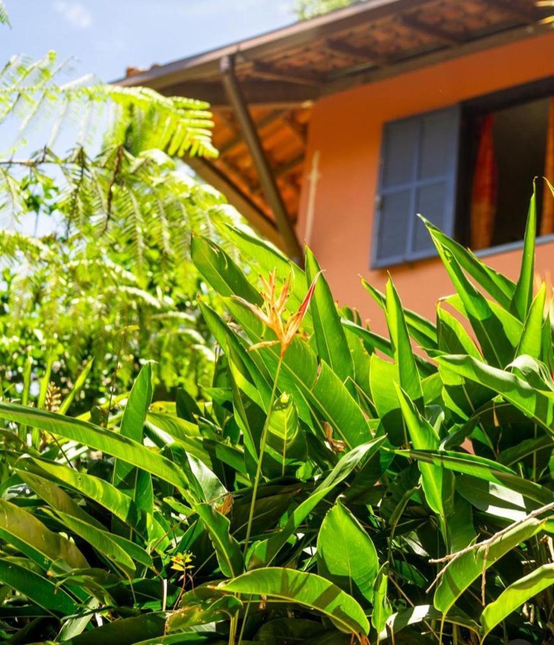 Sitio Flor Das Aguas Lumiar Exterior photo